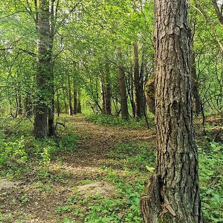 Namelis Su Pirtele *