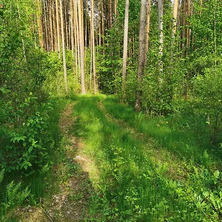 Namelis Su Pirtele *