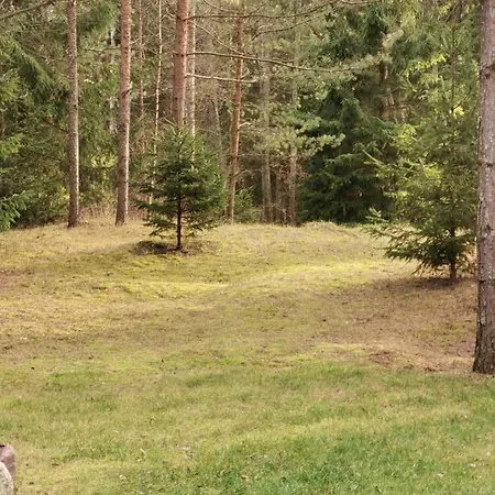 Namelis Su Pirtele Dom wakacyjny *