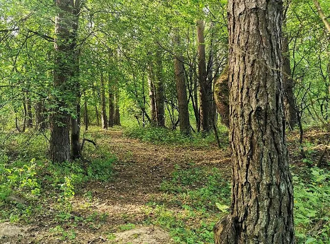 Namelis Su Pirtele *