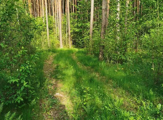 Namelis Su Pirtele *