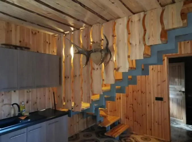 Namelis Su Pirtele * Druskininkai